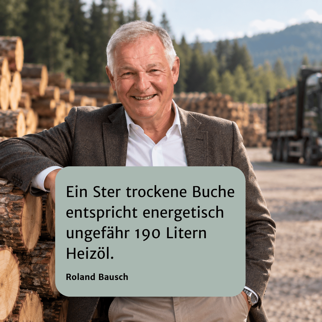 1 Ster Buche entspricht rund 190 Litern Heizöl – der große Vergleich 1 Brennholz zu Heizöl - Roland Bausch