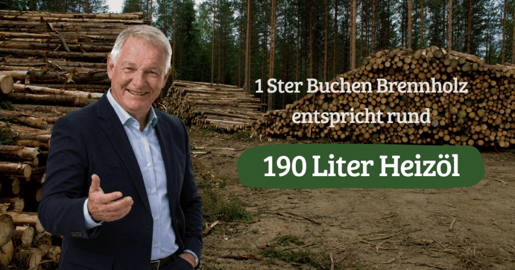 1 Ster Buche entspricht rund 190 Litern Heizöl – der große Vergleich