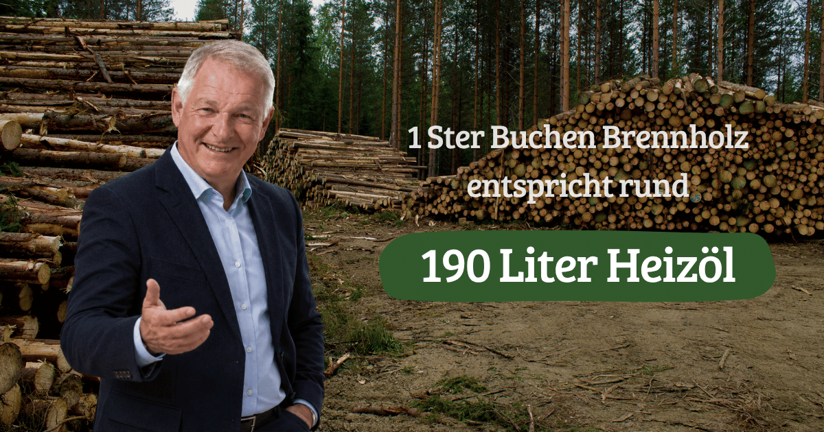 1 Ster Buche entspricht rund 190 Litern Heizöl – der große Vergleich